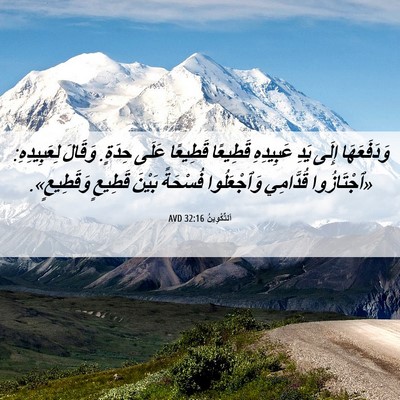 Picture 06 - اَلتَّكْوِينُ 32:16 AVD - وَدَفَعَهَا إِلَى يَدِ - Bible Verse Picture