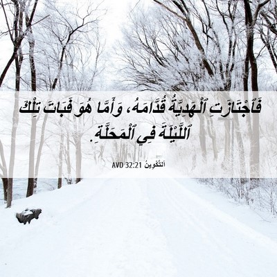 Picture 06 - اَلتَّكْوِينُ 32:21 AVD - فَٱجْتَازَتِ ٱلْهَدِيَّةُ - Bible Verse Picture