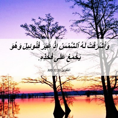 Picture 06 - اَلتَّكْوِينُ 32:31 AVD - وَأَشْرَقَتْ لَهُ - Bible Verse Picture