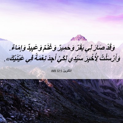 Picture 06 - اَلتَّكْوِينُ 32:5 AVD - وَقَدْ صَارَ لِي بَقَرٌ - Bible Verse Picture