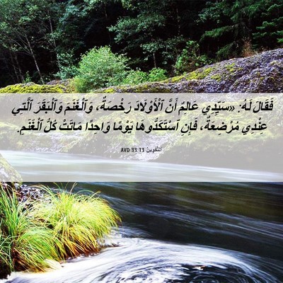 Picture 06 - اَلتَّكْوِينُ 33:13 AVD - فَقَالَ لَهُ: «سَيِّدِي - Bible Verse Picture