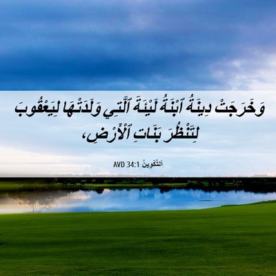Picture 06 - اَلتَّكْوِينُ 34:1 AVD - وَخَرَجَتْ دِينَةُ - Bible Verse Picture