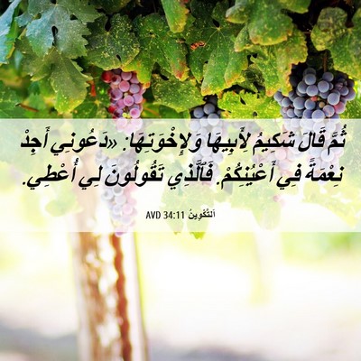 Picture 06 - اَلتَّكْوِينُ 34:11 AVD - ثُمَّ قَالَ شَكِيمُ - Bible Verse Picture