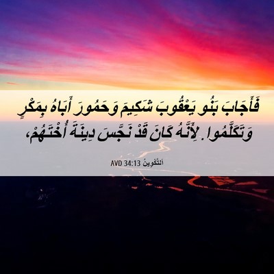 Picture 06 - اَلتَّكْوِينُ 34:13 AVD - فَأَجَابَ بَنُو يَعْقُوبَ - Bible Verse Picture