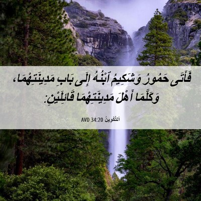 Picture 06 - اَلتَّكْوِينُ 34:20 AVD - فَأَتَى حَمُورُ وَشَكِيمُ - Bible Verse Picture