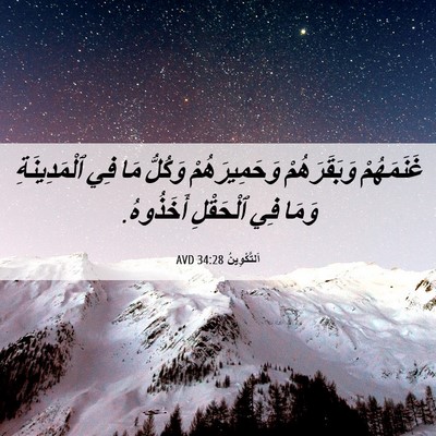 Picture 06 - اَلتَّكْوِينُ 34:28 AVD - غَنَمَهُمْ وَبَقَرَهُمْ - Bible Verse Picture