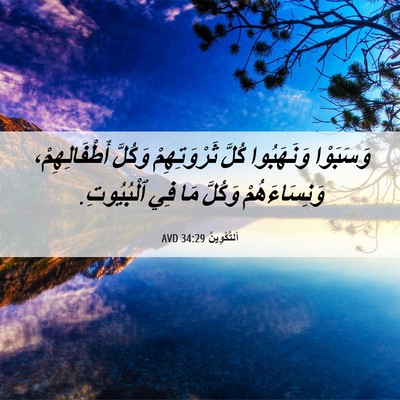 Picture 06 - اَلتَّكْوِينُ 34:29 AVD - وَسَبَوْا وَنَهَبُوا - Bible Verse Picture