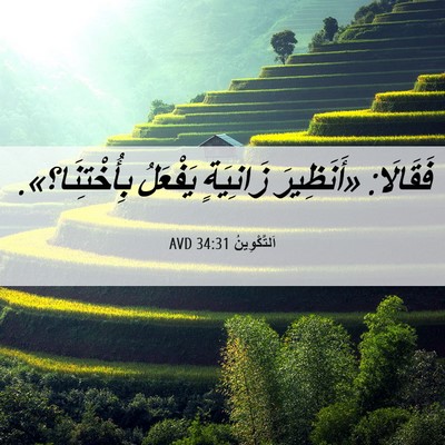 Picture 06 - اَلتَّكْوِينُ 34:31 AVD - فَقَالَا: «أَنَظِيرَ - Bible Verse Picture
