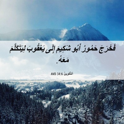 Picture 06 - اَلتَّكْوِينُ 34:6 AVD - فَخَرَجَ حَمُورُ أَبُو - Bible Verse Picture