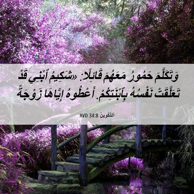 Picture 06 - اَلتَّكْوِينُ 34:8 AVD - وَتَكَلَّمَ حَمُورُ - Bible Verse Picture