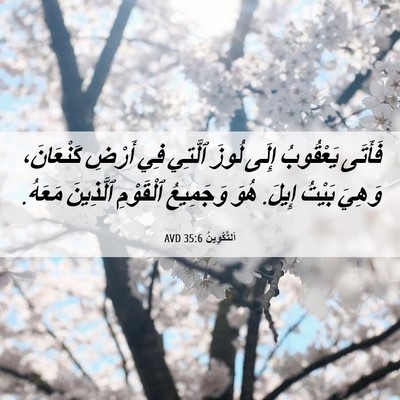 Picture 06 - اَلتَّكْوِينُ 35:6 AVD - فَأَتَى يَعْقُوبُ إِلَى - Bible Verse Picture