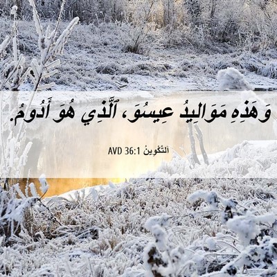Picture 06 - اَلتَّكْوِينُ 36:1 AVD - وَهَذِهِ مَوَالِيدُ - Bible Verse Picture