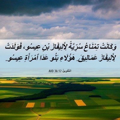 Picture 06 - اَلتَّكْوِينُ 36:12 AVD - وَكَانَتْ تِمْنَاعُ - Bible Verse Picture