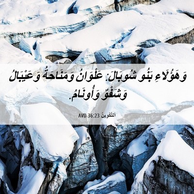 Picture 06 - اَلتَّكْوِينُ 36:23 AVD - وَهَؤُلَاءِ بَنُو - Bible Verse Picture