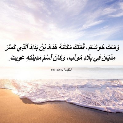 Picture 06 - اَلتَّكْوِينُ 36:35 AVD - وَمَاتَ حُوشَامُ، - Bible Verse Picture