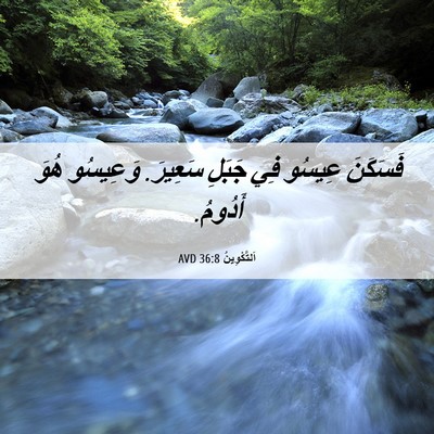 Picture 06 - اَلتَّكْوِينُ 36:8 AVD - فَسَكَنَ عِيسُو فِي جَبَلِ - Bible Verse Picture