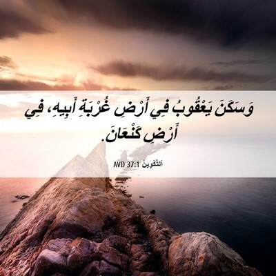 Picture 06 - اَلتَّكْوِينُ 37:1 AVD - وَسَكَنَ يَعْقُوبُ فِي - Bible Verse Picture