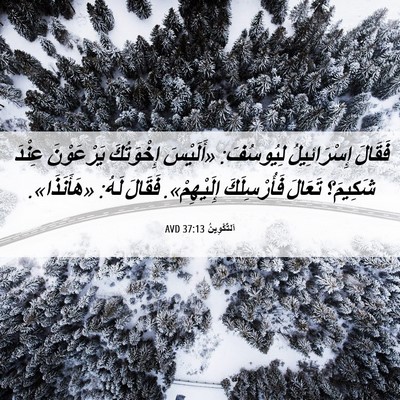 Picture 06 - اَلتَّكْوِينُ 37:13 AVD - فَقَالَ إِسْرَائِيلُ - Bible Verse Picture