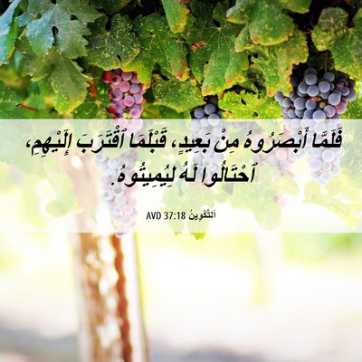 Picture 06 - اَلتَّكْوِينُ 37:18 AVD - فَلَمَّا أَبْصَرُوهُ مِنْ - Bible Verse Picture