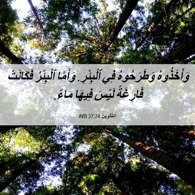 Picture 06 - اَلتَّكْوِينُ 37:24 AVD - وَأَخَذُوهُ وَطَرَحُوهُ - Bible Verse Picture