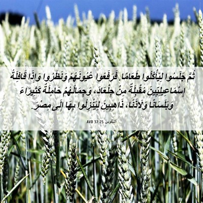 Picture 06 - اَلتَّكْوِينُ 37:25 AVD - ثُمَّ جَلَسُوا - Bible Verse Picture