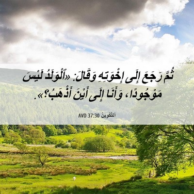 Picture 06 - اَلتَّكْوِينُ 37:30 AVD - ثُمَّ رَجَعَ إِلَى - Bible Verse Picture