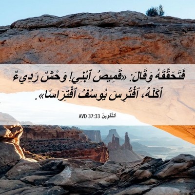 Picture 06 - اَلتَّكْوِينُ 37:33 AVD - فَتَحَقَّقَهُ وَقَالَ: - Bible Verse Picture