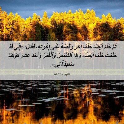 Picture 06 - اَلتَّكْوِينُ 37:9 AVD - ثُمَّ حَلُمَ أَيْضًا - Bible Verse Picture