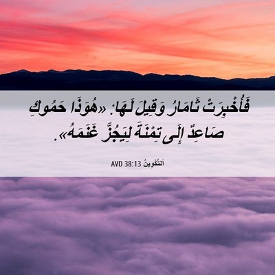 Picture 06 - اَلتَّكْوِينُ 38:13 AVD - فَأُخْبِرَتْ ثَامَارُ - Bible Verse Picture