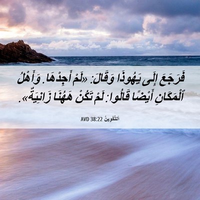 Picture 06 - اَلتَّكْوِينُ 38:22 AVD - فَرَجَعَ إِلَى يَهُوذَا - Bible Verse Picture