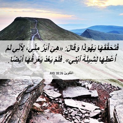 Picture 06 - اَلتَّكْوِينُ 38:26 AVD - فَتَحَقَّقَهَا يَهُوذَا - Bible Verse Picture