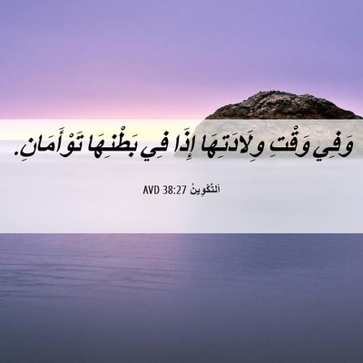 Picture 06 - اَلتَّكْوِينُ 38:27 AVD - وَفِي وَقْتِ وِلَادَتِهَا - Bible Verse Picture