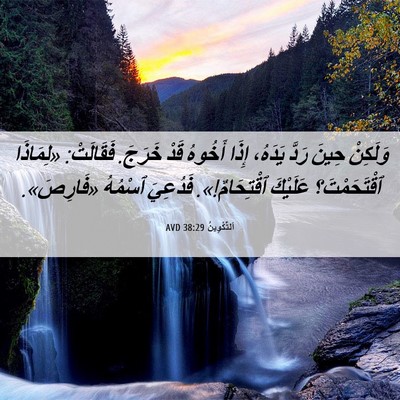 Picture 06 - اَلتَّكْوِينُ 38:29 AVD - وَلَكِنْ حِينَ رَدَّ - Bible Verse Picture