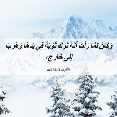 Picture 06 - اَلتَّكْوِينُ 39:13 AVD - وَكَانَ لَمَّا رَأَتْ - Bible Verse Picture