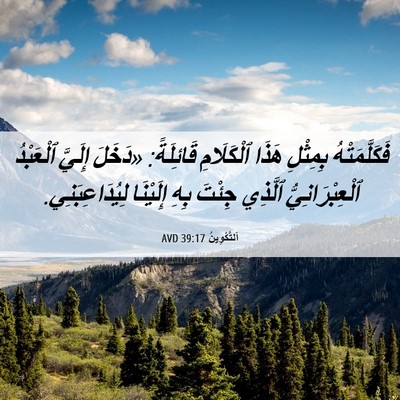 Picture 06 - اَلتَّكْوِينُ 39:17 AVD - فَكَلَّمَتْهُ بِمِثْلِ - Bible Verse Picture