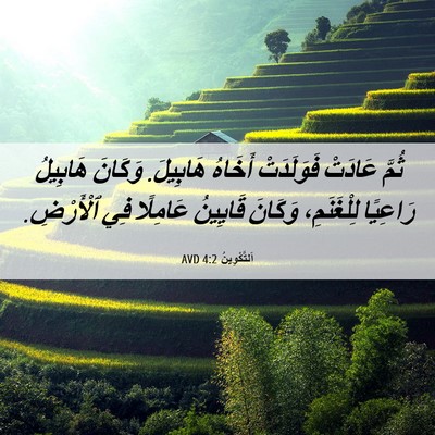 Picture 06 - اَلتَّكْوِينُ 4:2 AVD - ثُمَّ عَادَتْ فَوَلَدَتْ - Bible Verse Picture