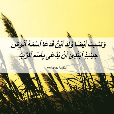 Picture 06 - اَلتَّكْوِينُ 4:26 AVD - وَلِشِيثَ أَيْضًا وُلِدَ - Bible Verse Picture