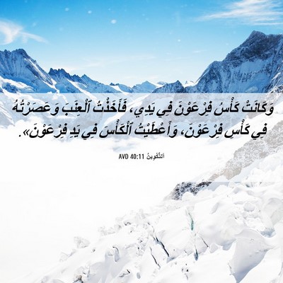 Picture 06 - اَلتَّكْوِينُ 40:11 AVD - وَكَانَتْ كَأْسُ - Bible Verse Picture