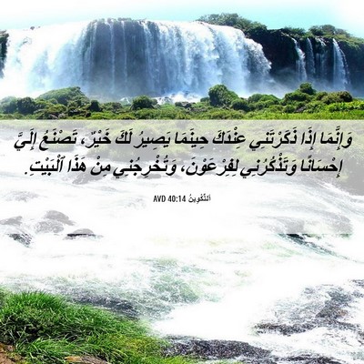 Picture 06 - اَلتَّكْوِينُ 40:14 AVD - وَإِنَّمَا إِذَا - Bible Verse Picture