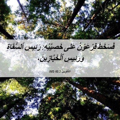 Picture 06 - اَلتَّكْوِينُ 40:2 AVD - فَسَخَطَ فِرْعَوْنُ عَلَى - Bible Verse Picture