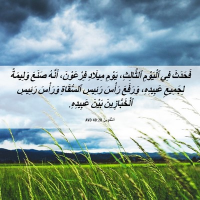 Picture 06 - اَلتَّكْوِينُ 40:20 AVD - فَحَدَثَ فِي ٱلْيَوْمِ - Bible Verse Picture