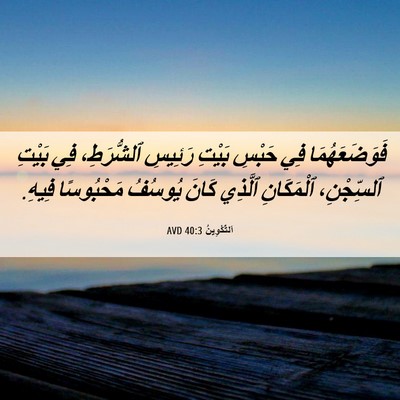 Picture 06 - اَلتَّكْوِينُ 40:3 AVD - فَوَضَعَهُمَا فِي حَبْسِ - Bible Verse Picture