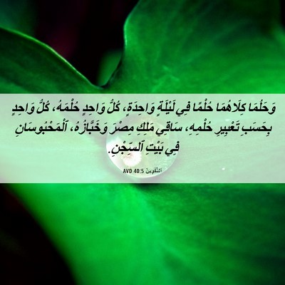 Picture 06 - اَلتَّكْوِينُ 40:5 AVD - وَحَلُمَا كِلَاهُمَا - Bible Verse Picture