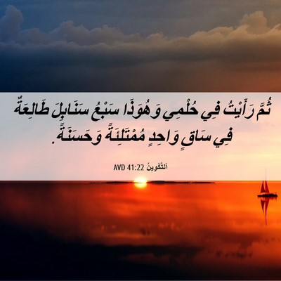 Picture 06 - اَلتَّكْوِينُ 41:22 AVD - ثُمَّ رَأَيْتُ فِي حُلْمِي - Bible Verse Picture