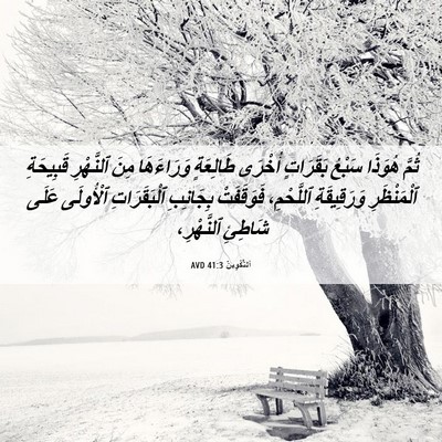 Picture 06 - اَلتَّكْوِينُ 41:3 AVD - ثُمَّ هُوَذَا سَبْعُ - Bible Verse Picture