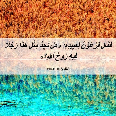 Picture 06 - اَلتَّكْوِينُ 41:38 AVD - فَقَالَ فِرْعَوْنُ - Bible Verse Picture
