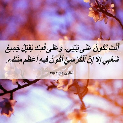Picture 06 - اَلتَّكْوِينُ 41:40 AVD - أَنْتَ تَكُونُ عَلَى - Bible Verse Picture