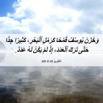 Picture 06 - اَلتَّكْوِينُ 41:49 AVD - وَخَزَنَ يُوسُفُ قَمْحًا - Bible Verse Picture