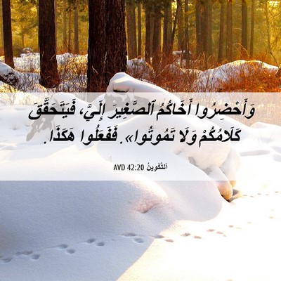 Picture 06 - اَلتَّكْوِينُ 42:20 AVD - وَأَحْضِرُوا أَخَاكُمُ - Bible Verse Picture
