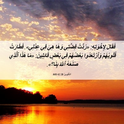 Picture 06 - اَلتَّكْوِينُ 42:28 AVD - فَقَالَ لِإِخْوَتِهِ: - Bible Verse Picture